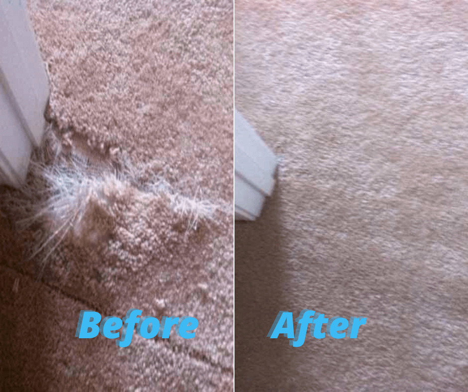 Speedy Carpet Repair Melbourne