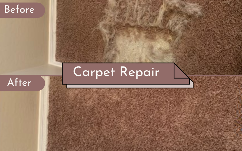 Carpet Repair  Services