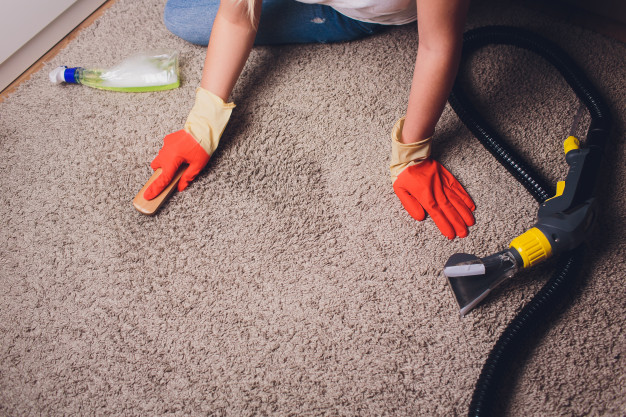 DIY tips for Carpet Cleaning