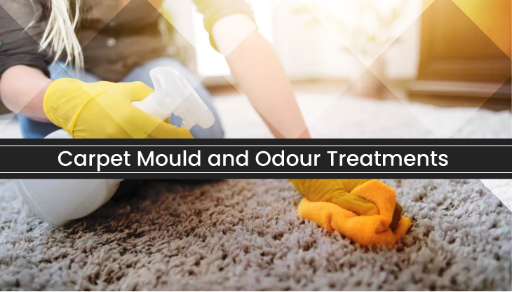 Mould and Odour Treatments